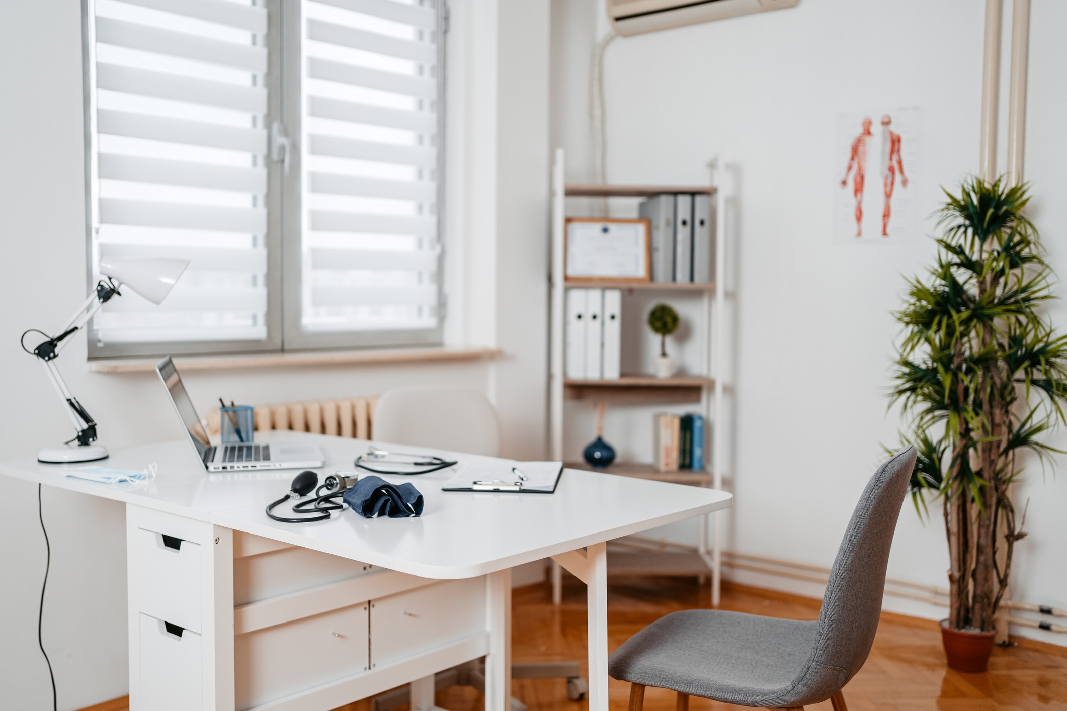 A clean and organized medical office with a white desk, laptop, clipboard, medical tools, and a tall green plant in the corner.