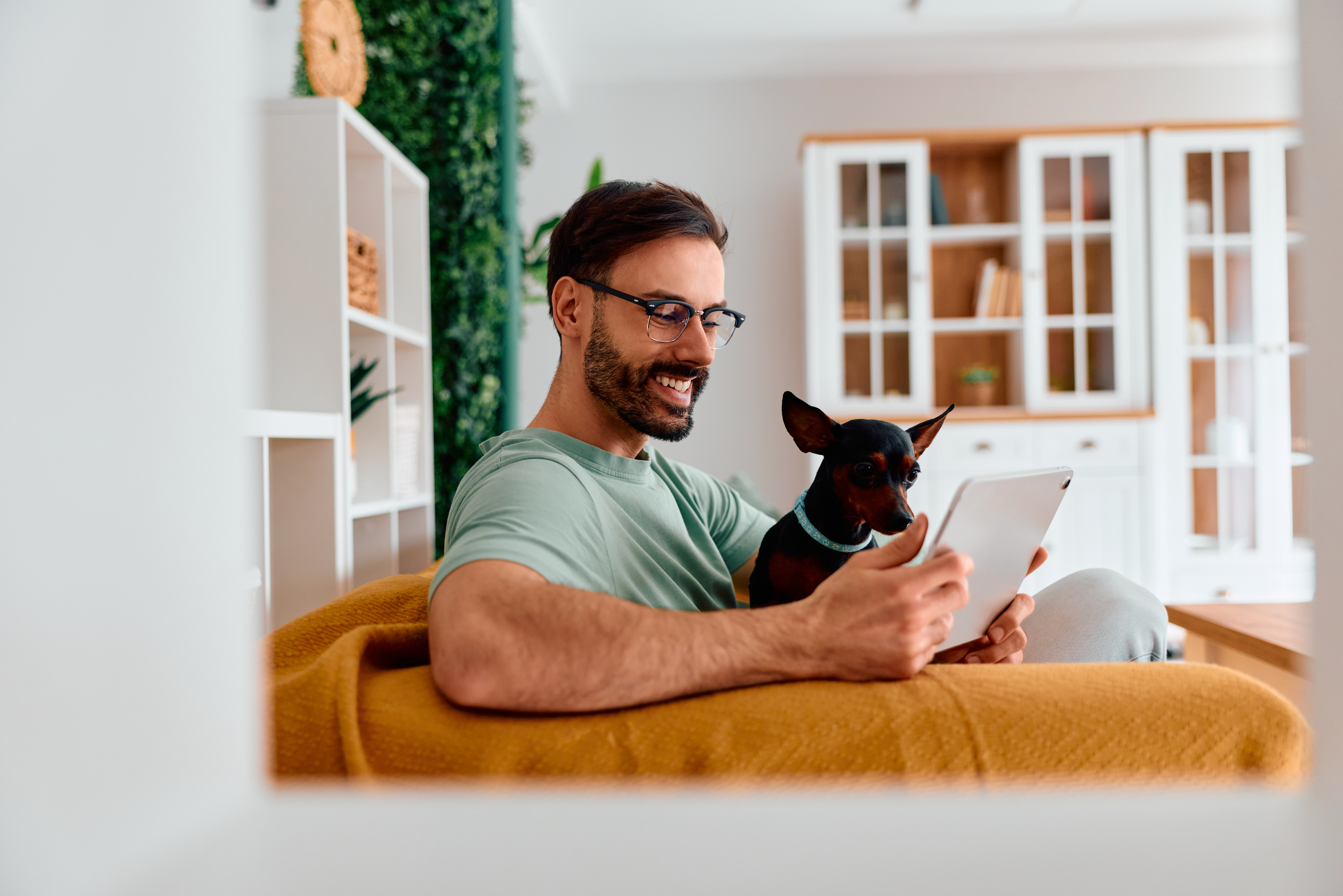 iStock-2261395186.jpg